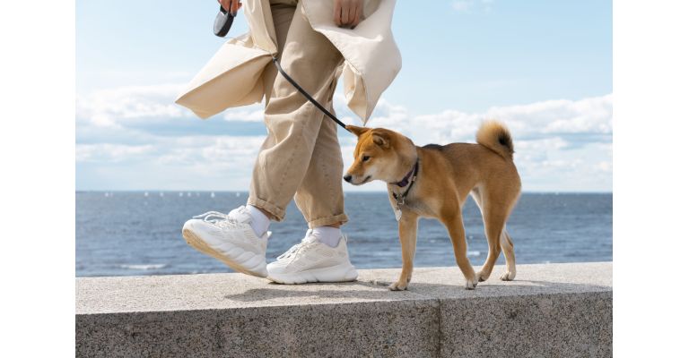 10 000 шагов в день: действительно ли это полезно?
