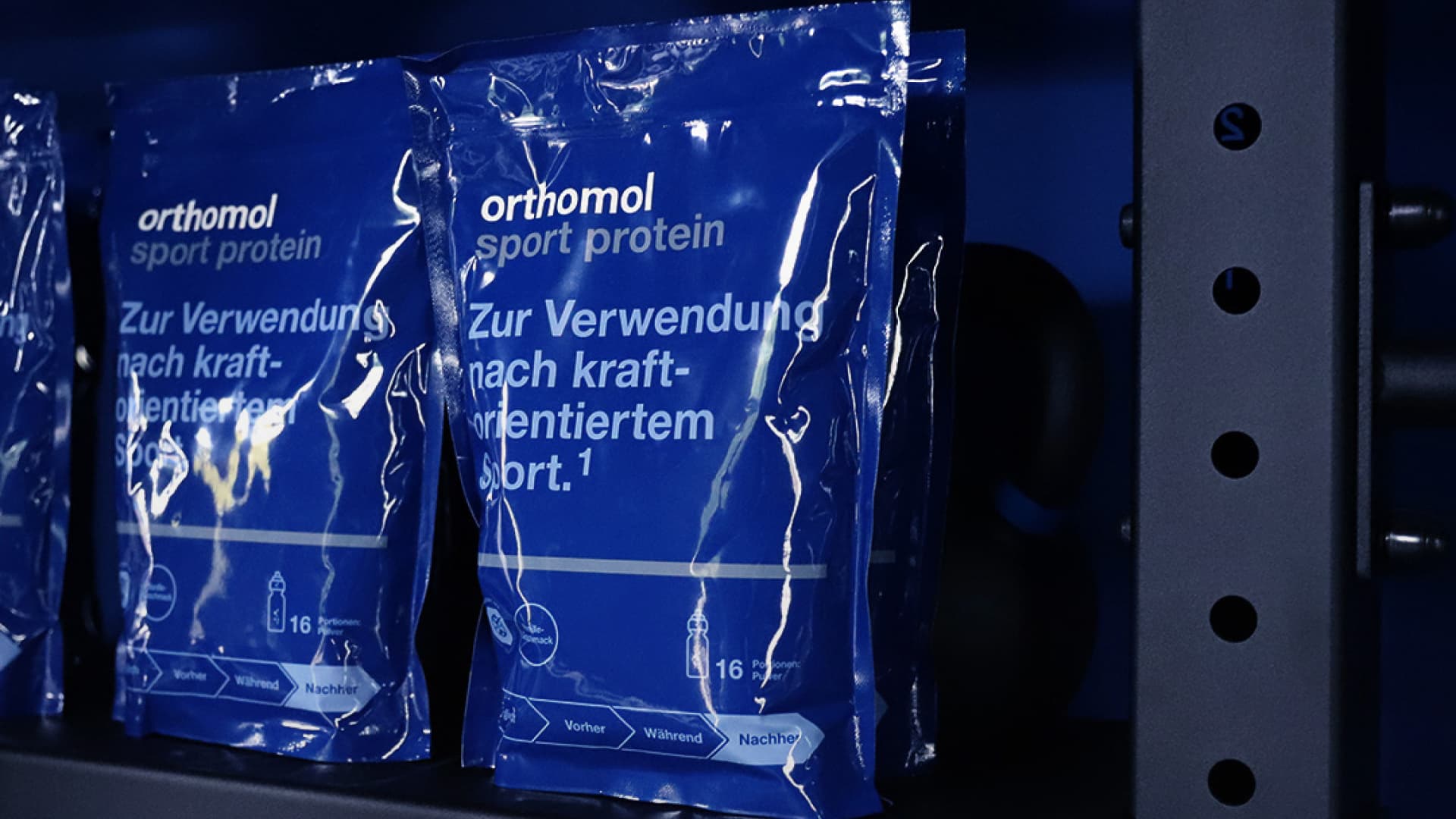 Orthomol Sport Protein